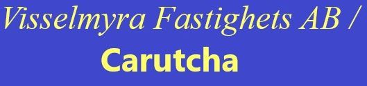 Carutchas logotyp - Städfirma i Linköping